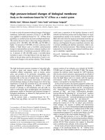 Báo cáo Y học: High pressure-induced changes of biological membrane Study on the membrane-bound Na+/K+-ATPase as a model system pdf