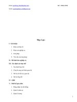 Quản lý nhân sư tiên lương docx