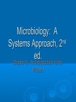 INFLUENZA VIRUS  a model for learning about disease