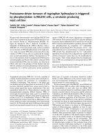 Báo cáo Y học: Proteasome-driven turnover of tryptophan hydroxylase is triggered by phosphorylation in RBL2H3 cells, a serotonin producing mast cell line pptx