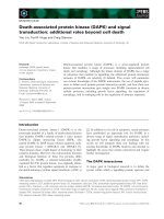 Báo cáo khoa học: Death-associated protein kinase (DAPK) and signal transduction: additional roles beyond cell death ppt