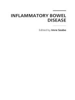 INFLAMMATORY BOWEL DISEASE pot