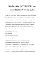 Surfing the INTERNET docx