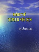 kháng thể globulin miễn dịch