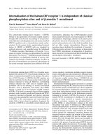 Báo cáo khoa học: Internalization of the human CRF receptor 1 is independent of classical phosphorylation sites and of b-arrestin 1 recruitment potx