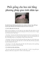 Phối giống cho heo nái bằng phương pháp gieo tinh nhân tạo pptx