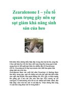 Zearalenone I – yếu tố quan trọng gây nên sự sụt giảm khả năng sinh sản của heo docx