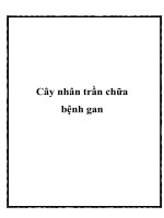 Cây nhân trần chữa bệnh gan ppt