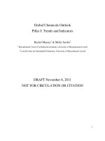 Global Chemicals Outlook - Trends and Indicators ppt