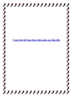 Cơm trộn kết hợp tôm chiên giòn cực hấp dẫn docx