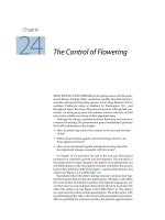 Plant physiology - Chapter 24 The Control of Flowering pdf