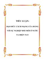 TIỂU LUẬN: ĐẠO ĐỨC CÁCH MẠNG CỦA ĐẢNG VỚI SỰ NGHIỆP ĐỔI MỚI Ở NƯỚC TA HIỆN NAY ppt