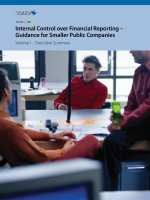 Internal Control over Financial Reporting – Guidance for Smaller Public Companies Volume I : Executive Summary ppt