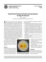 Small-Scale Pastured Poultry Grazing System for Egg Production doc