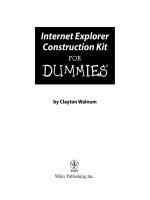 internet explorer construction kit for dummies