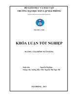 Một số biện pháp hạn chế rủi ro tín dụng tại Ngân hàng Thương mại cổ phần Sài Gòn Thương Tín- Chi nhánh Hải Phòng