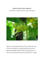 TRUYỀN THUYẾT HOA THIÊN LÝ pptx