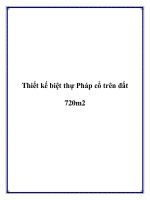 Thiết kế biệt thự Pháp cổ trên đất 720m2 potx