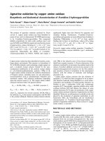 Báo cáo Y học: Agmatine oxidation by copper amine oxidase Biosynthesis and biochemical characterization of N-amidino-2-hydroxypyrrolidine pdf