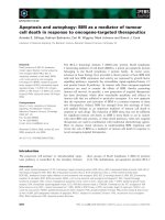 Báo cáo khoa học: Apoptosis and autophagy: BIM as a mediator of tumour cell death in response to oncogene-targeted therapeutics pptx