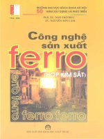 công nghệ sản xuất ferro - hợp kim sắt