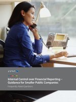 Internal Control over Financial Reporting – Guidance for Smaller Public Companies pot