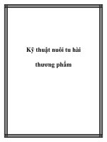 Kỹ thuật nuôi tu hài thương phẩm doc