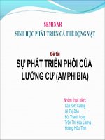 Đề tài SỰ PHÁT TRIỂN PHÔI CỦA LƯỠNG CƯ (AMPHIBIA pot