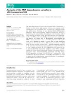 Báo cáo khoa học: Analysis of the RNA degradosome complex in Vibrio angustum S14 potx