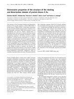 Báo cáo Y học: Electrostatic properties of the structure of the docking and dimerization domain of protein kinase A IIa doc
