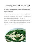 Tác dụng chữa bệnh của rau ngót doc