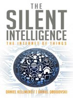The Silent Intelligence: The Internet of Things