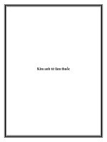 Kim anh tử làm thuốc potx