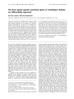 Báo cáo khoa học: The three typical aspartic proteinase genes of Arabidopsis thaliana are differentially expressed docx
