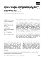 Báo cáo khoa học: Analysis of the NADH-dependent retinaldehyde reductase activity of amphioxus retinol dehydrogenase enzymes enhances our understanding of the evolution of the retinol dehydrogenase family pot