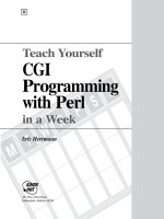 teach yourself cgi programming with perl in a week - sams 1996