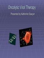 Oncolytic virus therapy