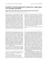 Báo cáo khoa học: Biosynthesis of platelet glycoprotein V expressed as a single subunit or in association with GPIb-IX doc