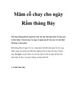 Mâm cỗ chay cho ngày Rằm tháng Bảy ppt