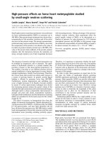 Báo cáo khoa học: High-pressure effects on horse heart metmyoglobin studied by small-angle neutron scattering pdf