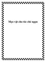 Mẹo vặt cho tóc chẻ ngọn pptx