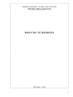 BÁO CÁO TỰ ĐÁNH GIÁ TRƯỜNG THCS LÂM GIANG docx