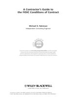 A Contractor’s Guide to the FIDIC Conditions of Contract doc