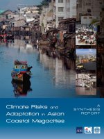 Climate Risks and Adaptation in Asian Coastal Megacities ppt