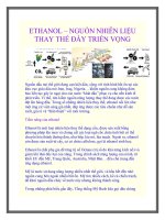 ETHANOL – NGUỒN NHIÊN LIỆU THAY THẾ ĐẦY TRIỂN VỌNG pptx