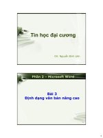 Tin học đại cương - Phần 2 – Microsoft Word - Bài 3 Định dạng văn bản nâng cao potx