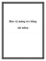 Bảo vệ măng tre bằng túi nilon doc