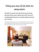 Những gam màu nổi bật dành cho phòng khách pdf