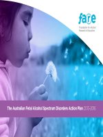The Australian Fetal Alcohol Spectrum Disorders Action Plan 2013–2016 ppt