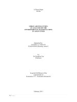 URBAN AIR POLLUTION: AN ANALYSIS OF THE ENVIRONMENTAL KUZNETS CURVE IN ASIAN CITIES docx